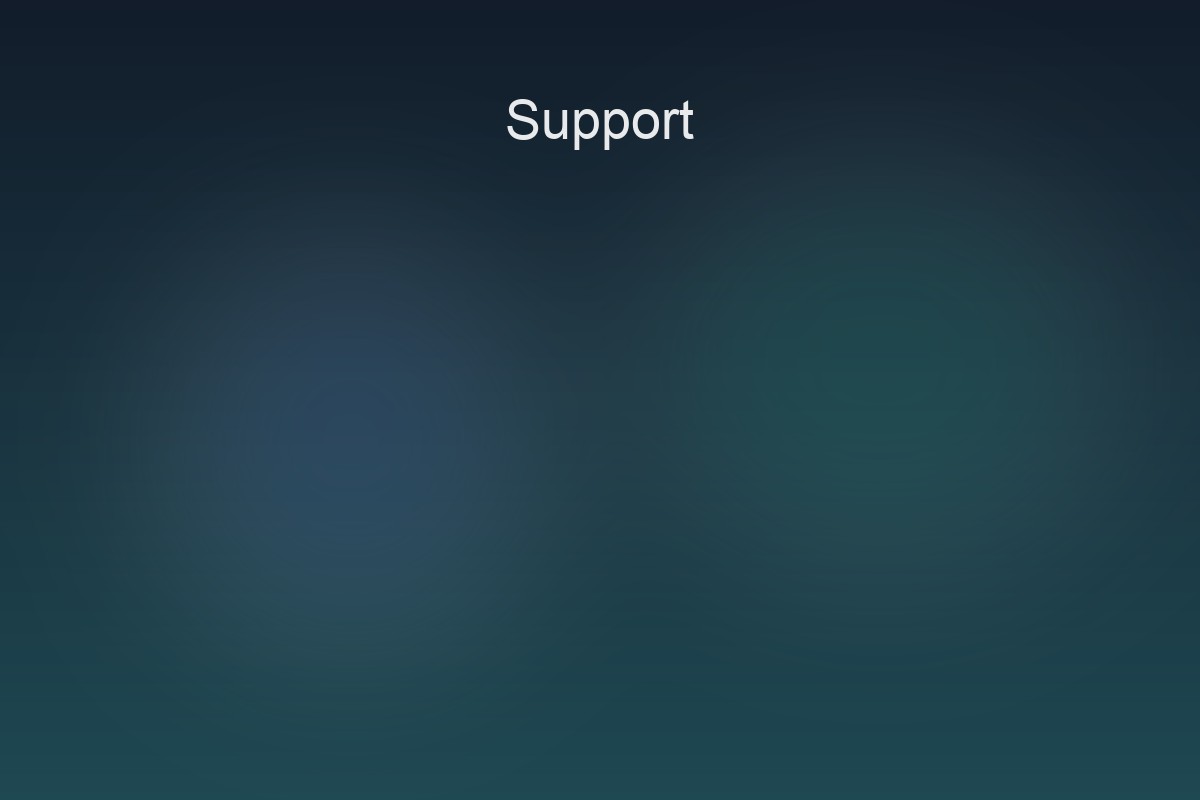 IT support service placeholder